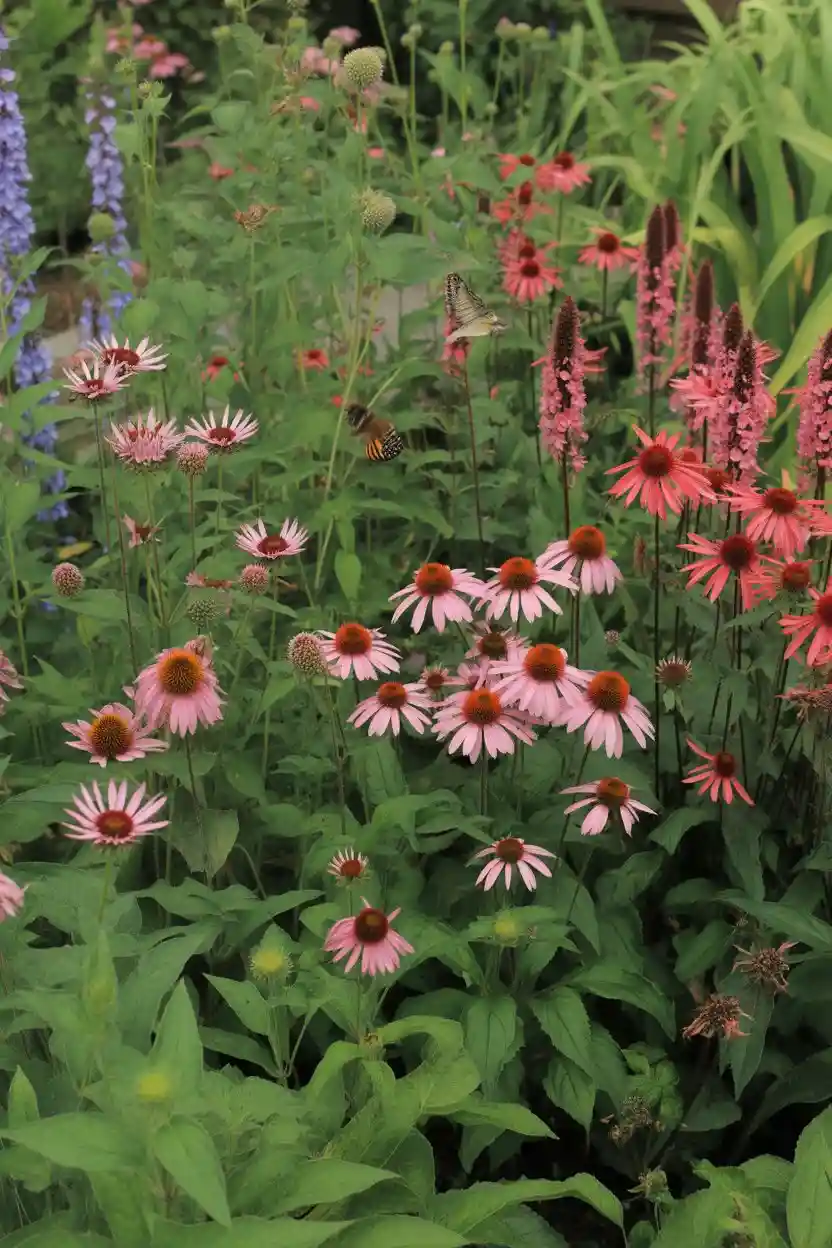 30 Perennial Flower Bed Ideas 18 Butterfly Magnet Bed