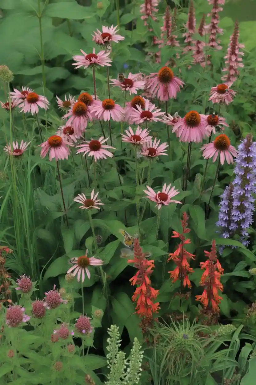 30 Perennial Flower Bed Ideas 26 Pollinator Paradise Bed