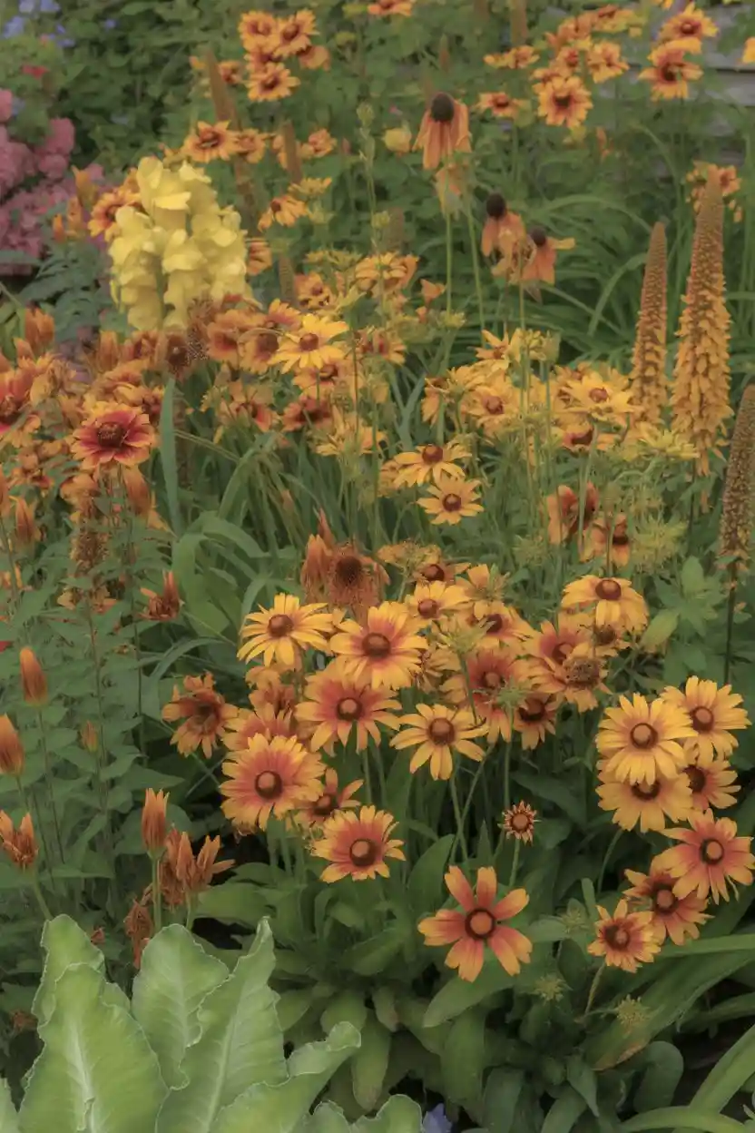 30 Perennial Flower Bed Ideas 13 Summer Sunset Perennial Bed