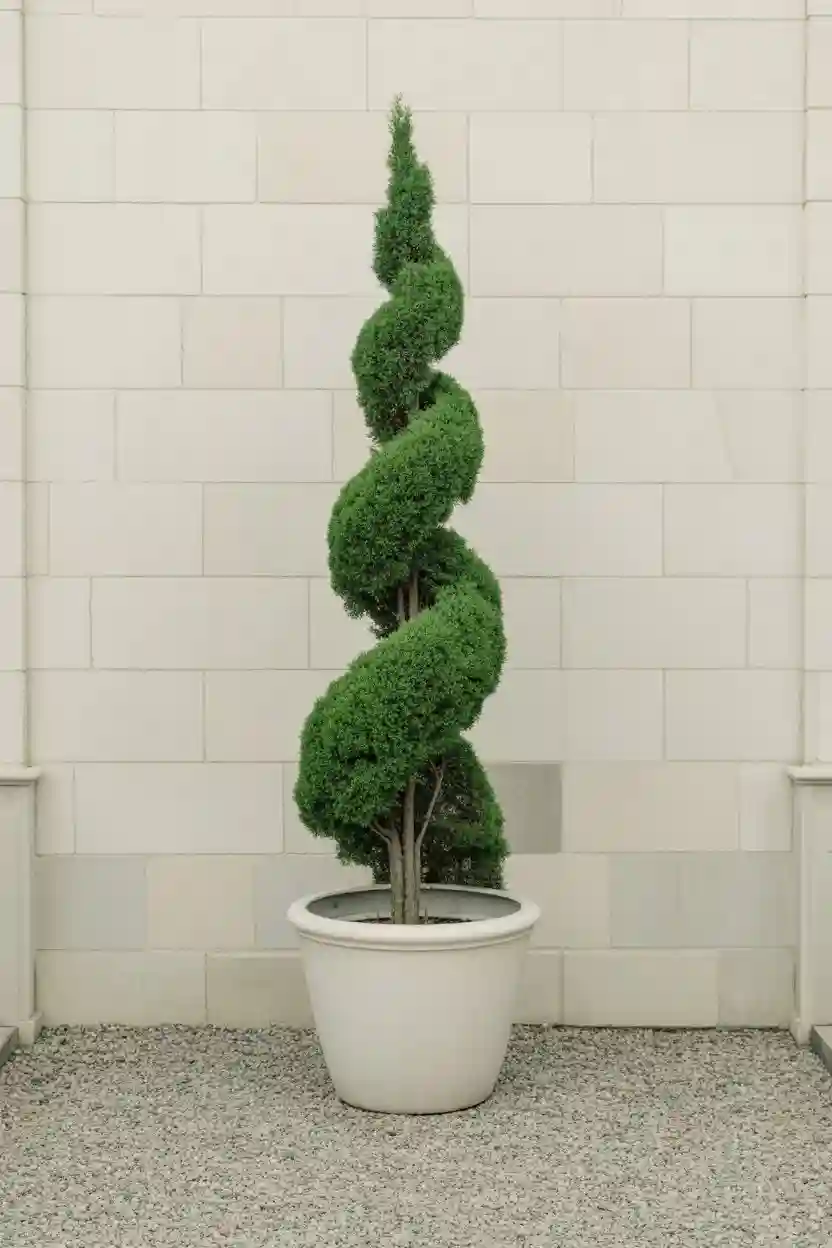 20 Minimalist Landscaping Ideas 9 Topiary Focal Points