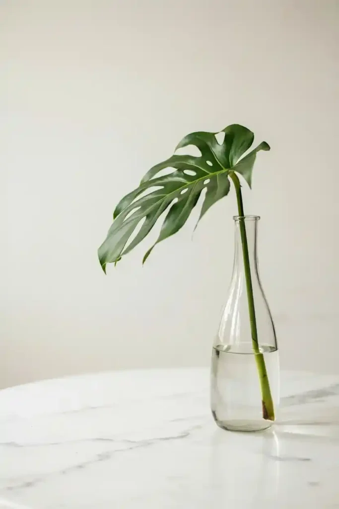 Monstera Leaf in a Bud Vase