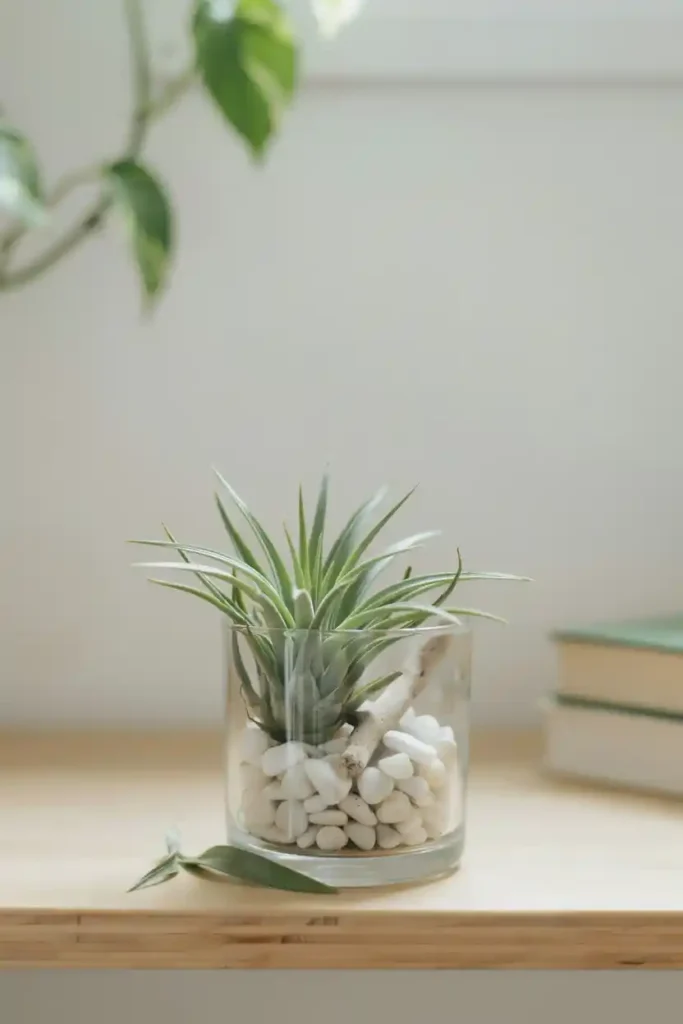 16 Upcycled Candle Jar Ideas 12 Air Plant Terrarium Upcycled Candle Jar