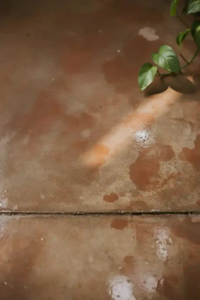 Concrete Stain and Sealant